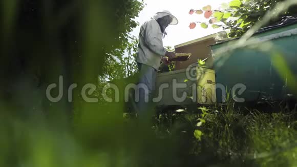 养蜂人看着站在花园蜂巢附近的蜂窝视频的预览图