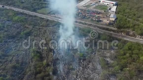 森林火灾烟雾覆盖的景观视频的预览图