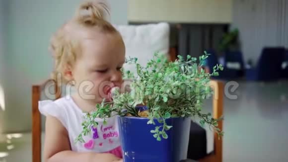 小女孩在锅里玩花检查花研究植物慢动作视频的预览图