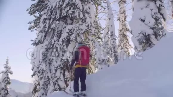 西伯利亚的滑雪场一个人在雪地森林里爬上小山视频的预览图