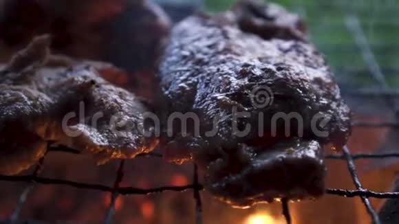 亚洲女士从智能手机上给WatArun拍照动作缓慢倾斜射击猪肉在炭火下燃烧视频的预览图