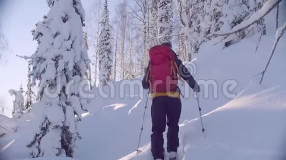 西伯利亚的滑雪场一个人在雪地森林里爬上小山视频的预览图