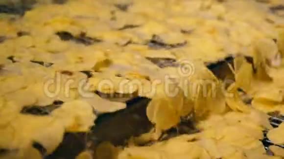 工厂输送机重新定位切碎的马铃薯碎片视频的预览图