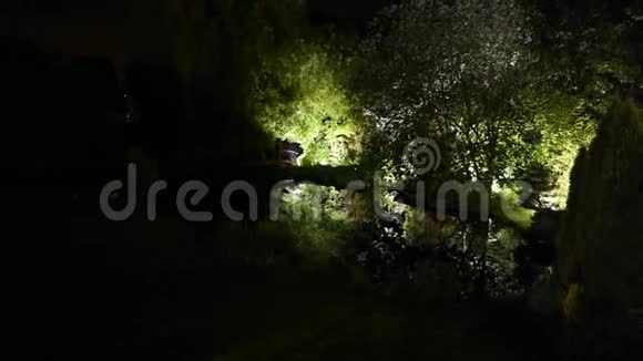 夜晚在公园上空泛着灯光视频的预览图