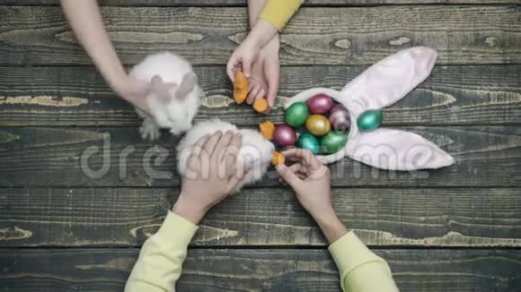 复活节兔子和鸡蛋放在木桌上复活节快乐饲养复活节兔子的手的特写给动物喂食视频的预览图