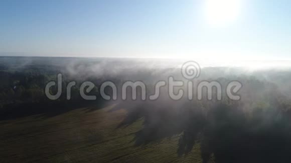 从森林的高度和雾中的田野拍摄的视频视频的预览图