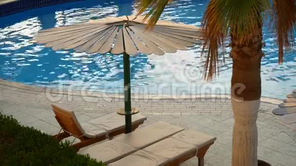 太阳镜反光中描绘的沙滩伞和棕榈树视频的预览图