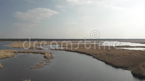 拉托维亚朱马拉的利普佩河靠近波罗的海和黄草视频的预览图