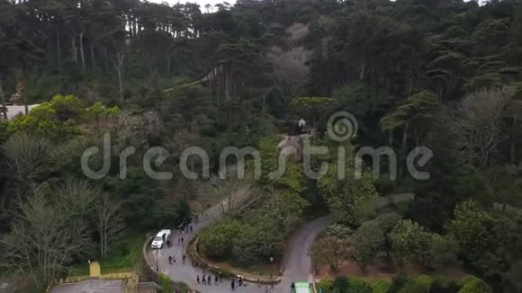 鸟瞰公园在山脉和树木帕拉西奥达佩纳在辛特拉葡萄牙宫殿是联合国教科文组织的世界遗产视频的预览图