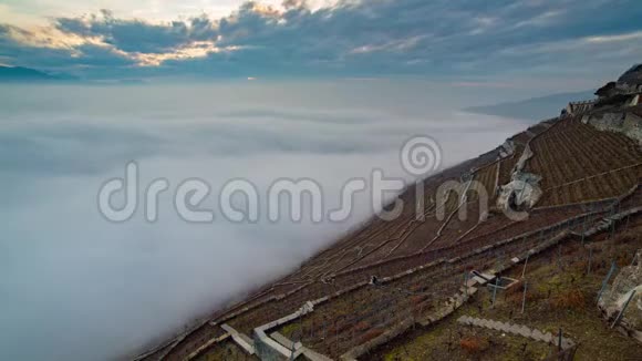 里维埃拉葡萄园的云海视频的预览图