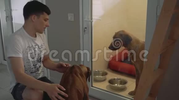 年轻人和两只狗在医务室养动物视频的预览图