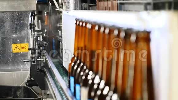 啤酒厂的主题瓶厂传送带啤酒瓶在生产和装瓶技术路线视频的预览图