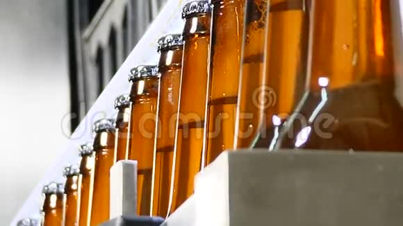啤酒厂的主题瓶子厂的传送带啤酒瓶在生产和装瓶技术路线视频的预览图