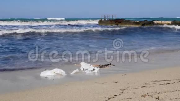 带海码头的沙滩塑料袋环境污染海滩上的塑料垃圾又溅起水花视频的预览图