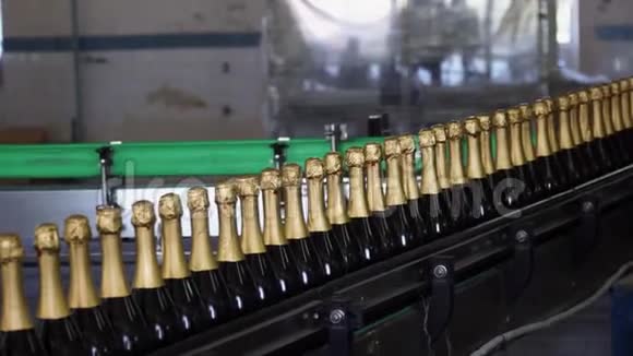 玻璃香槟瓶在传送带上移动火花酒厂酒精生产视频的预览图