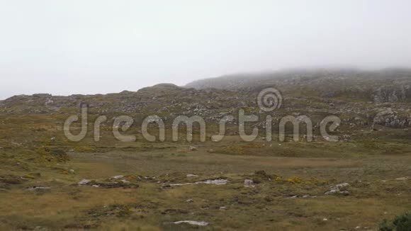 爱尔兰康纳马拉的雾山和沼泽视频的预览图