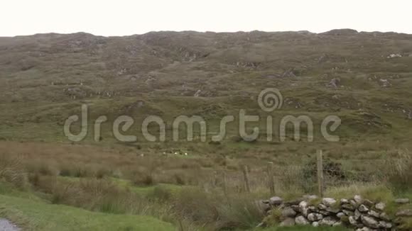 爱尔兰史前德鲁伊堡视频的预览图