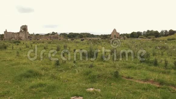 Athasselpriory爱尔兰草地上一座被毁的修道院视频的预览图