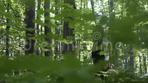 美丽的女孩走在绿油油的森林里视频的预览图