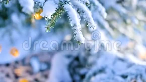 在一个真正的冬天里戴着手套的女性双手从一个白雪覆盖的新年树枝上摘下花环视频的预览图