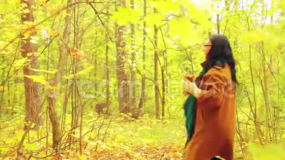 在秋天公园的一个阳光明媚的日子里戴着鲜艳围巾的年轻开朗的女人手里拿着枫叶旋转着视频的预览图