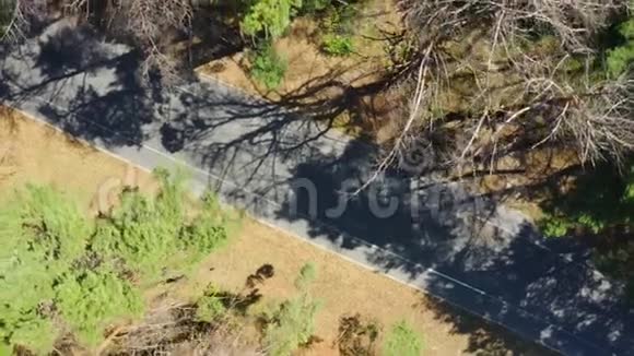 在森林道路上骑自行车的骑车者的空中俯视图骑自行车从无人驾驶飞机出发的三项全能车手视频的预览图