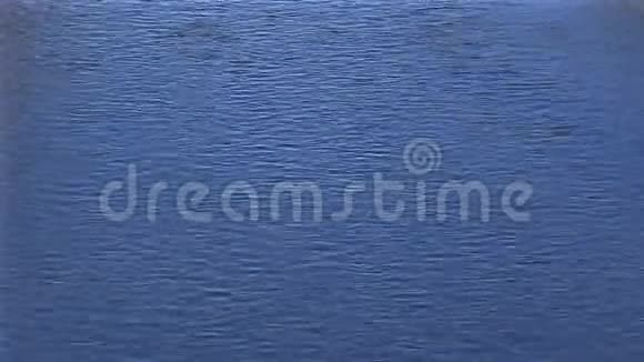 流动的水背景视频的预览图