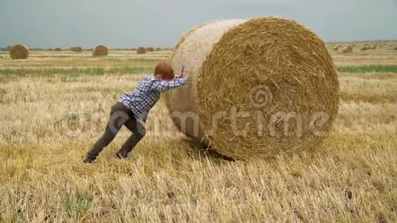 一个红头发的男孩在一个夏天的傍晚用捆包把一捆稻草推到麦田中央视频的预览图