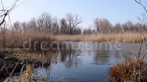 早春的第聂伯河景色乌克兰赫森视频的预览图