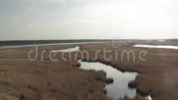 波罗的海附近的利普佩河和拉脱维亚尤尔马拉的黄草视频的预览图