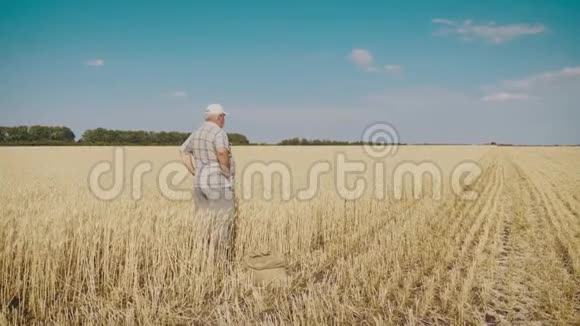 成熟的农民在联合收割机收割时站在麦田里他控制着收割过程一个袋子视频的预览图