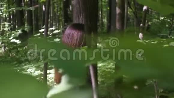 美丽的女孩走在绿油油的森林里视频的预览图