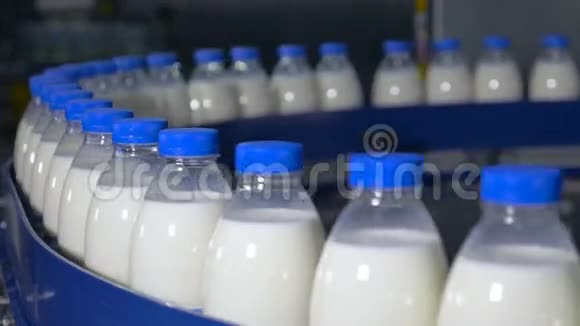 新鲜乳制品瓶子在传送带上移动奶制品工厂视频的预览图