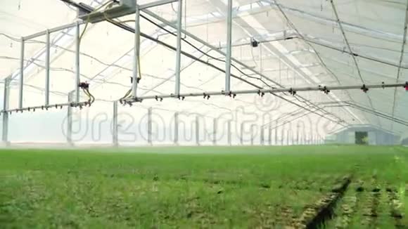 工作中的浇水设备在现代玻璃温室中浇灌植物视频的预览图