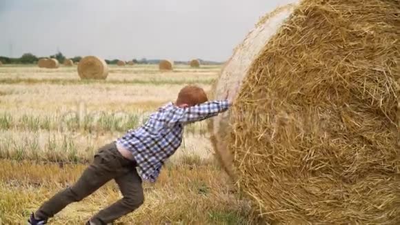 一个红头发的男孩在一个夏天的傍晚用捆包把一捆稻草推到麦田中央视频的预览图