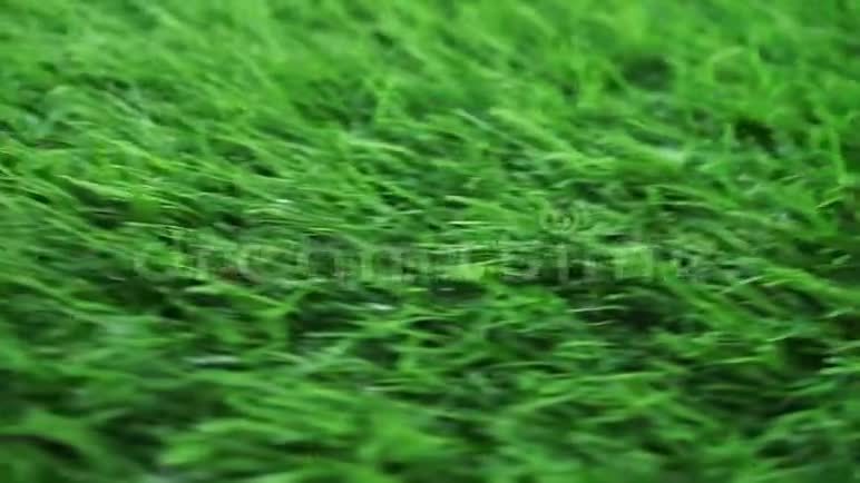 绿色人工草质地旋转视频的预览图