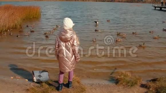 秋天在湖边喂鸭子的小女孩后景视频的预览图