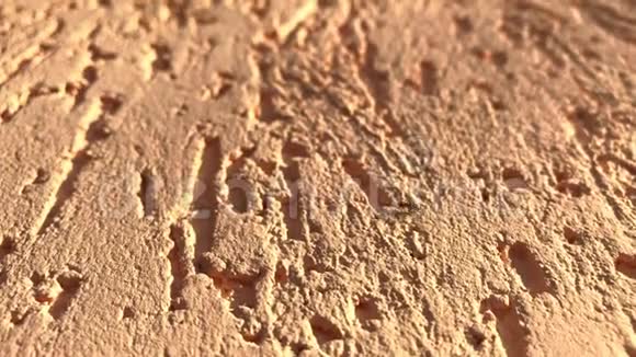 一只蚂蚁沿着明亮的彩色墙壁爬行的特写镜头视频的预览图