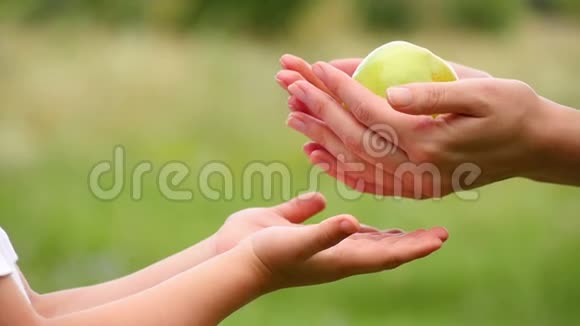 一个女人把苹果递给一个小孩子从她的手特写视频的预览图