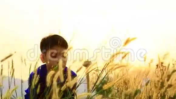 夏日风动草花的快乐亚洲男孩视频的预览图