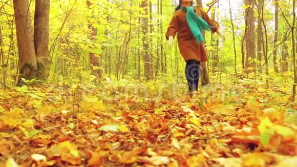 一个年轻的女人在一个阳光明媚的日子里在一个秋天的公园里手里拿着枫叶旋转着把叶子扔到花园里视频的预览图