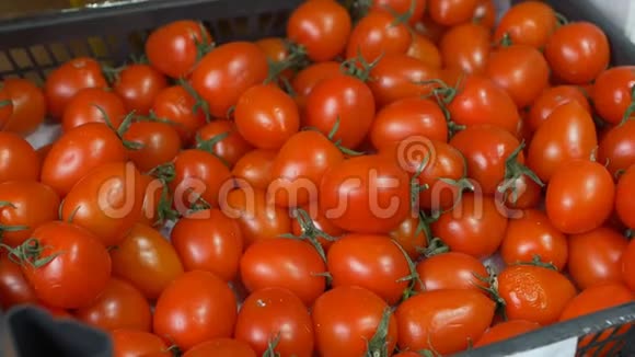 商店的盒子里有红色多汁的西红柿特写镜头慢动作蔬菜视频的预览图