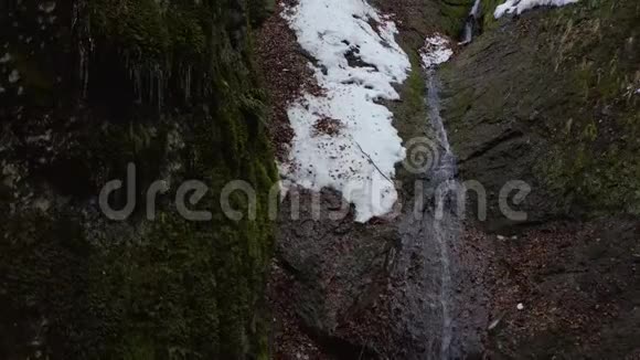 从苔藓峡谷中飞出一个小瀑布视频的预览图