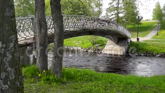 在一个安静的绿色城市公园里横过河的行人天桥视频的预览图