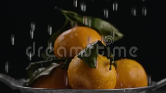 在视频中我们可以看到橘子水滴滴在橘子上背面背景视频的预览图