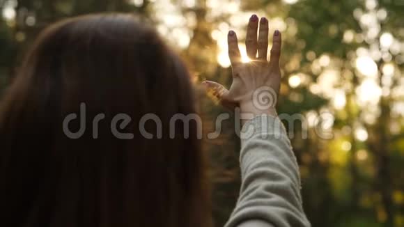阳光照在女人的手上透过手指照射视频的预览图