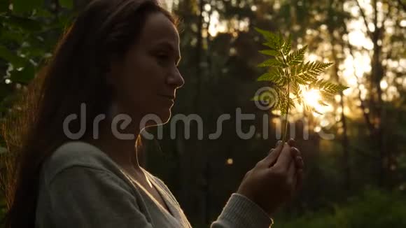 女人看着蕨叶暴露在阳光下视频的预览图
