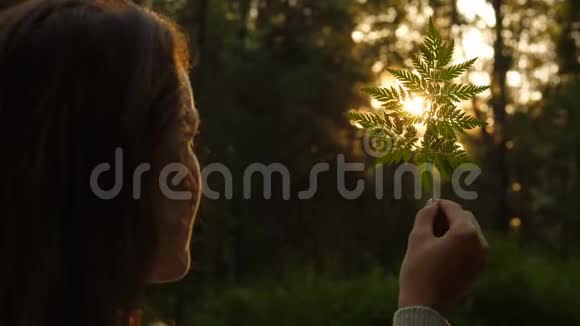 女人手中的蕨叶阳光透过尖尖的小叶子照耀视频的预览图