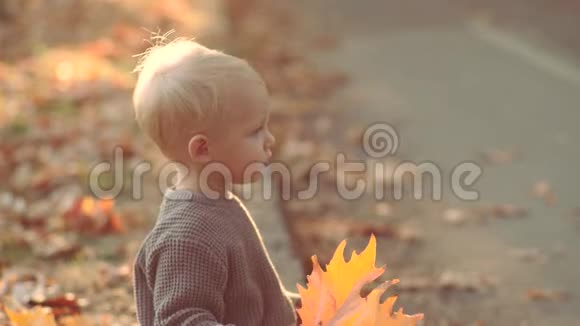 秋天大自然背景下美丽的秋天孩子孩子们秋天在秋林中嬉戏秋天的小男孩视频的预览图
