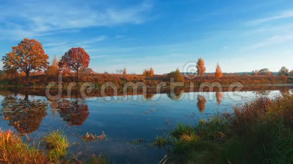 令人惊叹的秋色美丽的时光流逝的森林湖视频的预览图